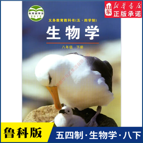 中学八年级下册书鲁科版教材