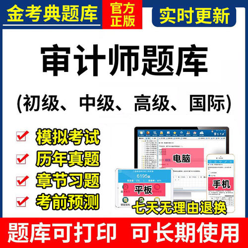 2026年审计师金考典初级中级题库软件激活高级国际内部历年真题