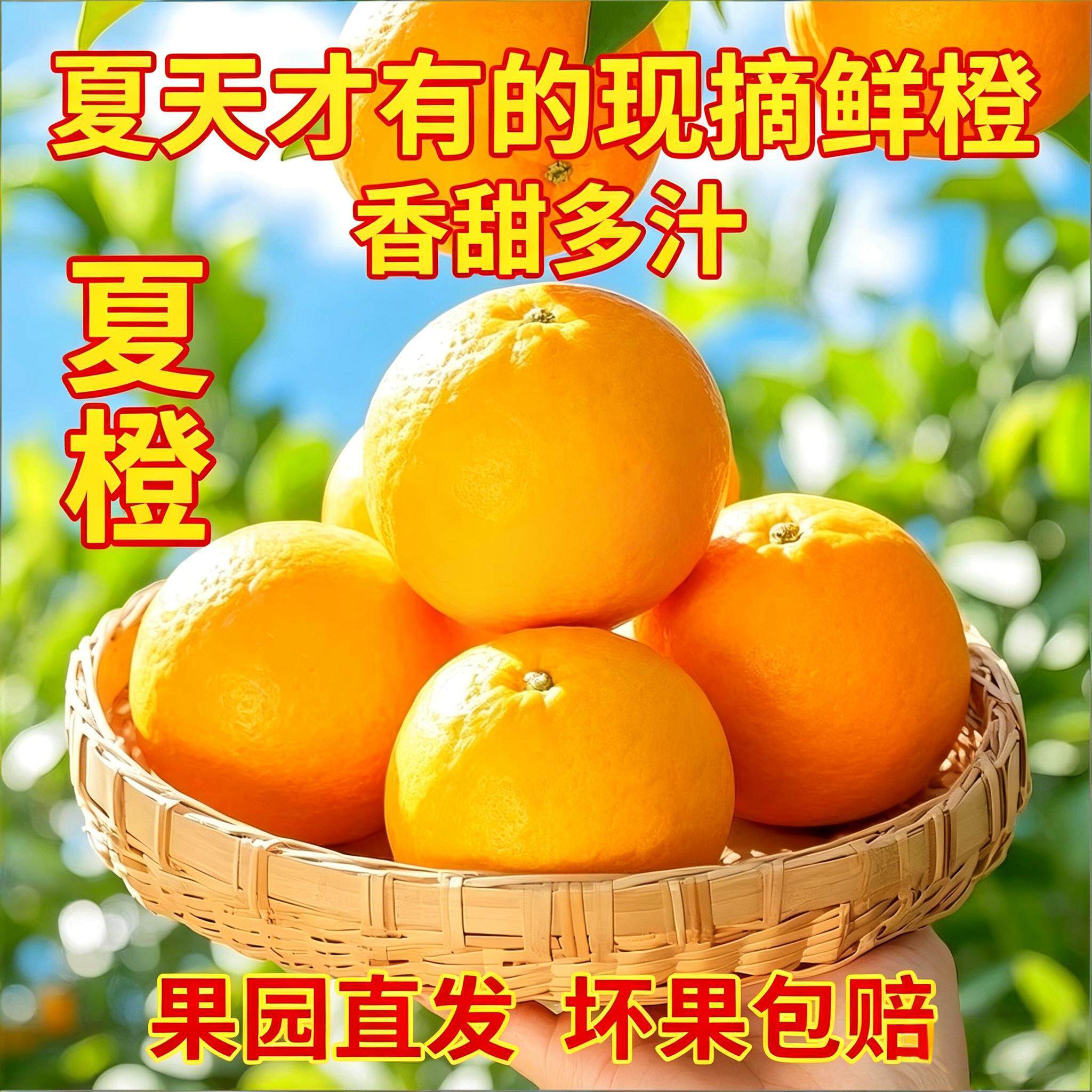 正宗脐橙夏橙湖北宜昌秭归橙子当季新鲜水果10整箱斤现摘果园