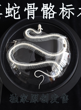 太空舱标本真骨ins创意礼品