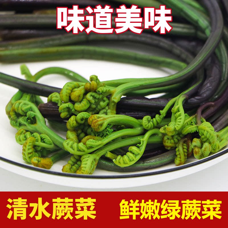 清水蕨菜绿蕨菜保鲜清水蕨菜山野菜包邮每袋含水300克袋装绿蕨菜