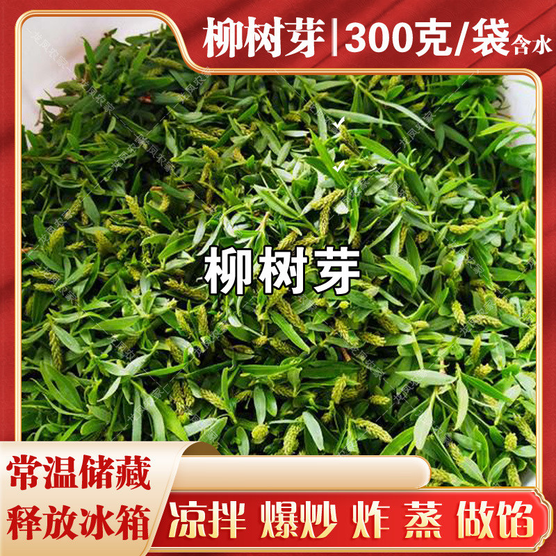 清水柳芽柳芽叶菜柳构儿菜新鲜蔬菜凉拌柳芽菜清水柳芽含水300克