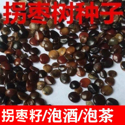 拐枣籽精选正品干货干净无杂枳椇子拐枣子枳具子拐枣果250克散装