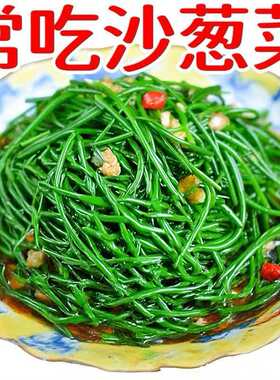 清水沙葱西北特产新鲜沙葱沙漠野菜绿色特色四季下饭菜批发袋装