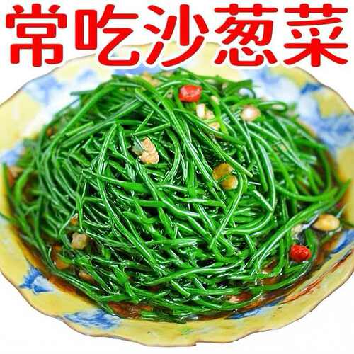 清水沙葱西北特产新鲜沙葱沙漠野菜绿色特色四季下饭菜批发袋装