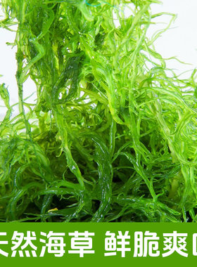 盐渍龙须菜福建海草海藻海龙须菜食材凉菜食材火锅菜食材食用卤菜