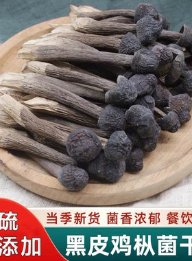 鸡枞菌干货精选黑皮鸡枞菌干货鸡纵菌特产野菌野鸡枞菌煲汤清炒菜