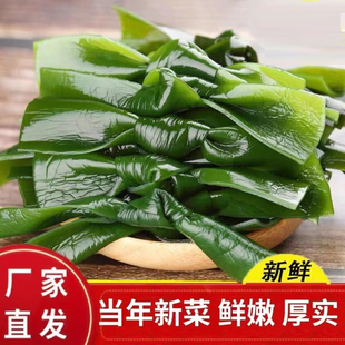 脱盐海带结商用批发非干货煲汤火锅串串凉拌关东煮新鲜火锅海带结