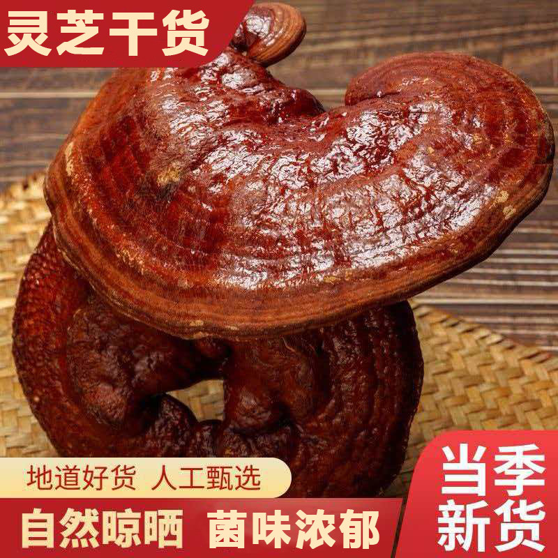 灵芝干货灵芝整枝老灵芝无杂质菌味浓郁灵芝正宗干货泡酒泡茶煲汤