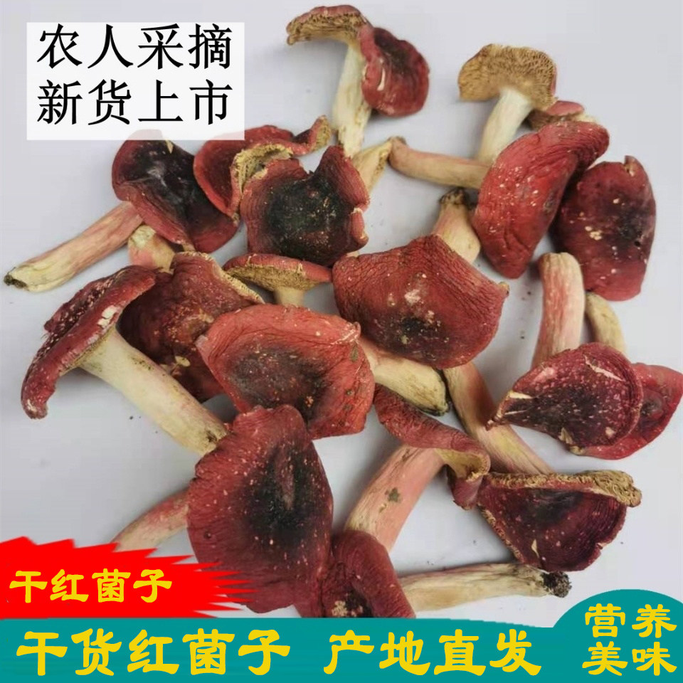 干红菌子野红菇农家特产红菇干货农家自然晾晒红菌红蘑菇家用煲汤