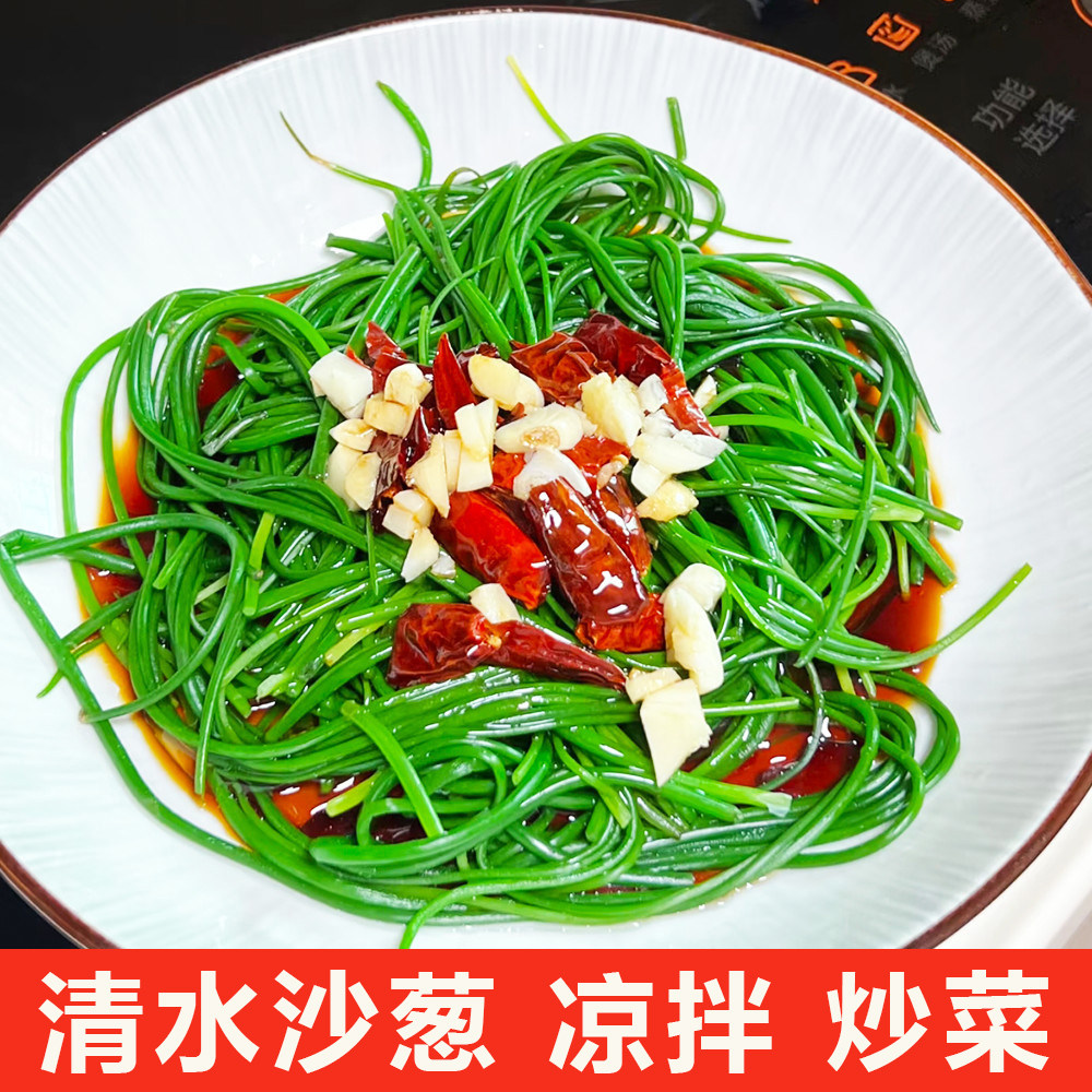 清水沙葱西北特产原味沙葱野菜300g袋装沙葱泡菜凉拌菜家用含水