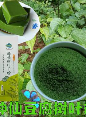 神仙树叶干粉陕西神仙豆腐干粉凉粉果冻观音柴豆腐柴叶子斑鸠豆腐