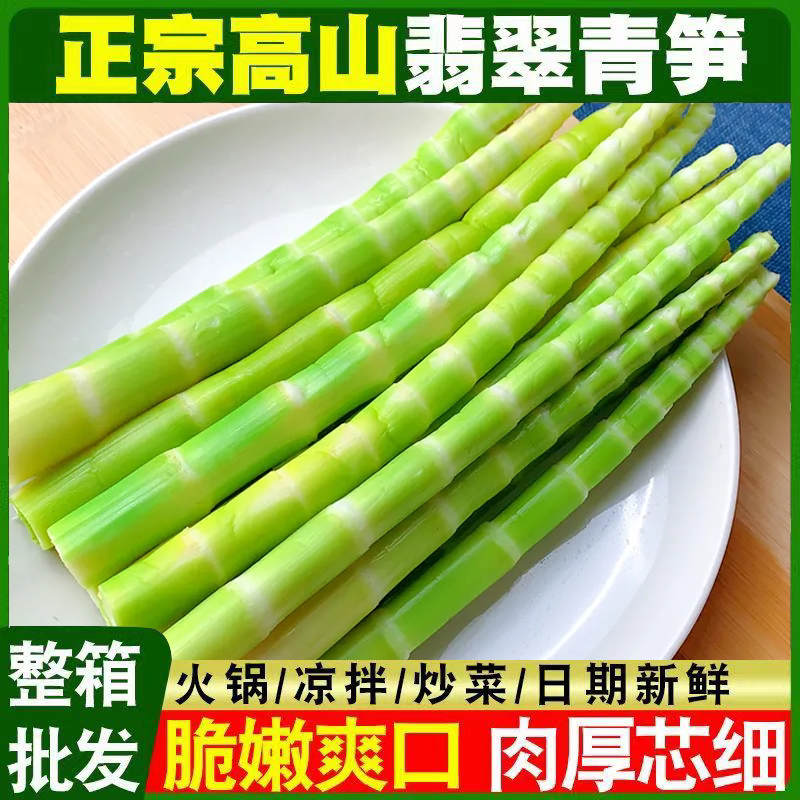 清水翡翠绿笋尖商用新鲜高山绿笋尖竹笋火锅笋清水笋一整箱批发