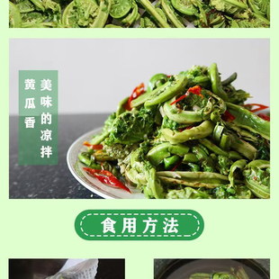 清水黄瓜香野菜袋装含水山野菜广东菜新鲜勾勾荚果蕨菜今年新货