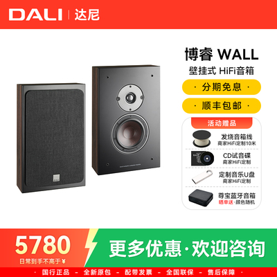 达尼WALL高保真无源纤薄壁挂音箱