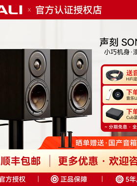 DALI/达尼 SONIK1 声刻1 高保真HiFi无源书架音箱 家用立体声音响