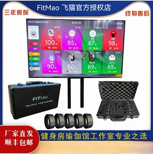 飞猫心率实时监控系统 私教工作室监测仪智能手环臂环臂带心率带