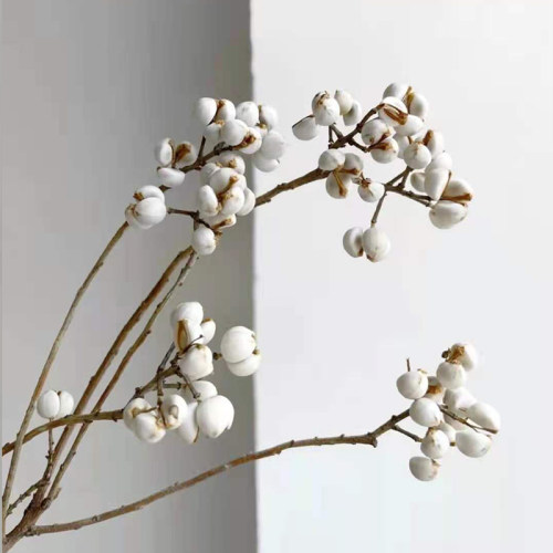 薏米乌桕迷你冬菇手作小白果diy