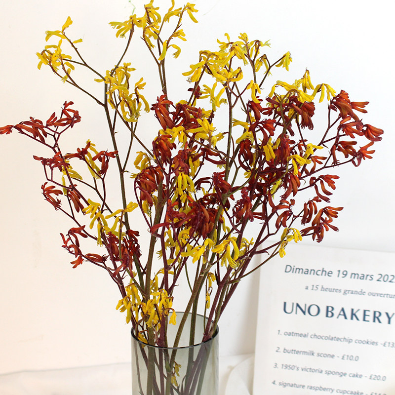 进口袋鼠爪永生花干花天然植物真花客厅电视柜花束酒店民宿软装