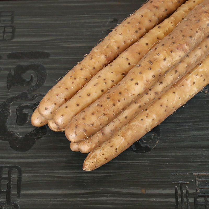 小白嘴山药河北麻山药蠡县