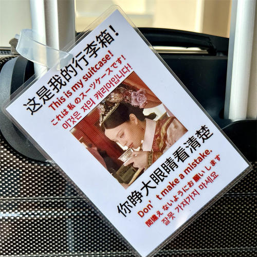 甄嬛传行李箱搞笑挂牌放