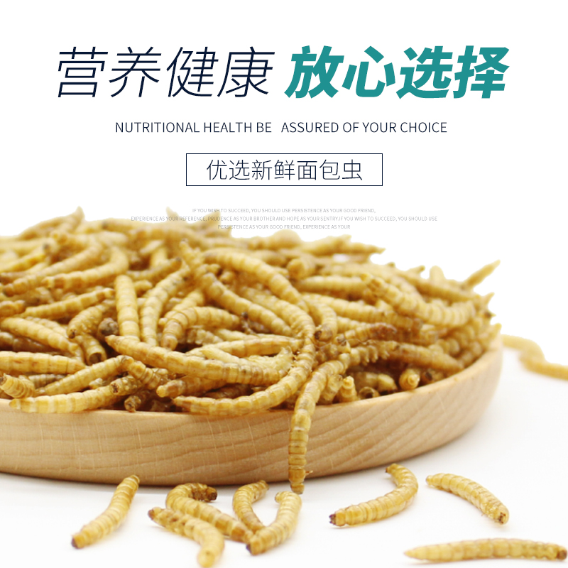 面包虫干饲料零食鸟粮