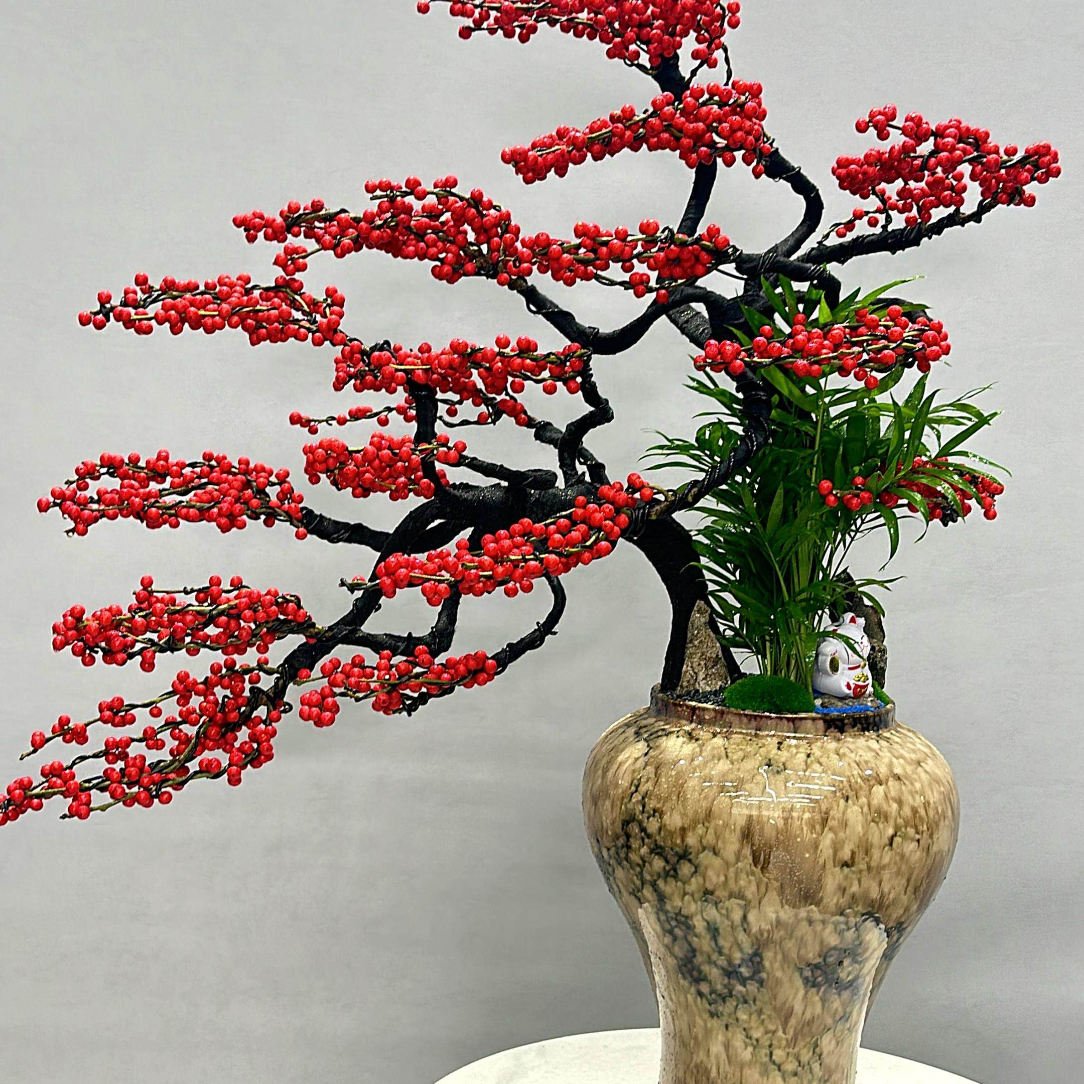 北美冬青绿植耐寒好养