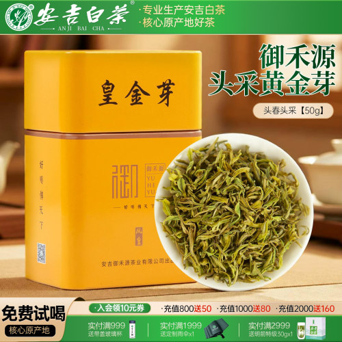 【核心产区】手工头采奶白黄金芽