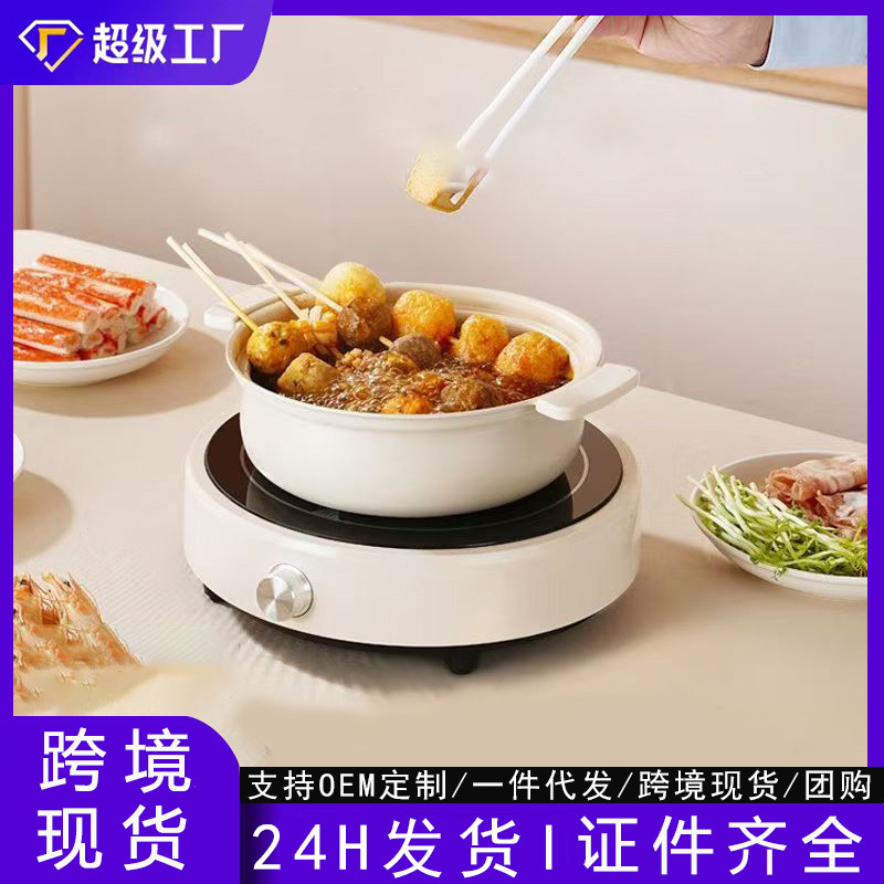外贸出口电磁炉家用110V英文版