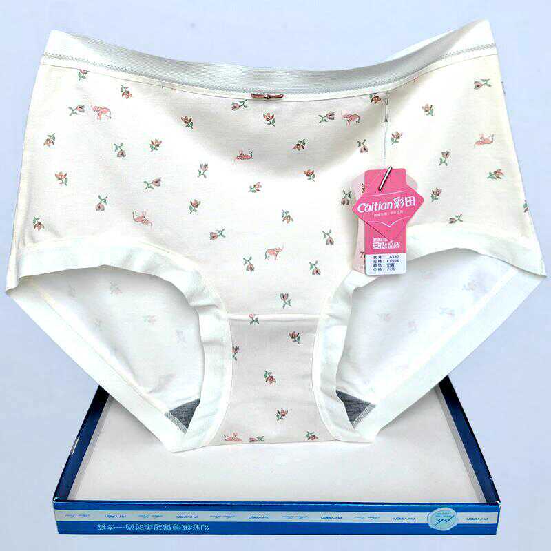 内裤彩田莫代尔棉印花短裤甜美女