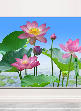荷花莲花贴纸田园风光绿色植物风景画卧室客厅招财装饰画自粘挂画