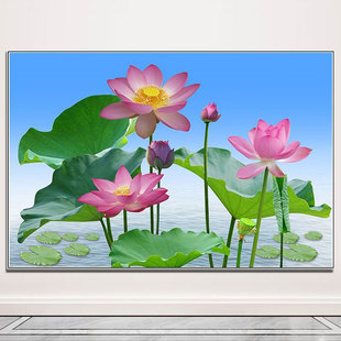 荷花莲花贴纸田园风光绿色植物风景画卧室客厅招财装饰画自粘挂画