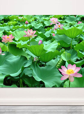 荷花荷叶荷池装饰画简约墙贴画客厅卧室背景墙壁画绿色植物自粘画