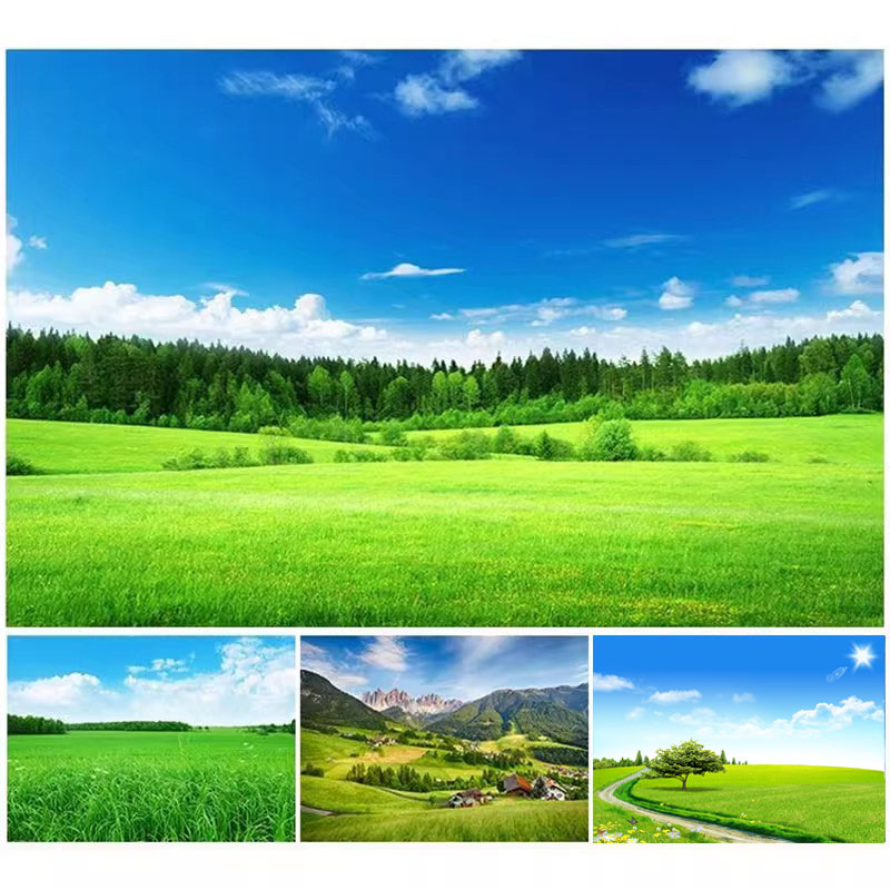 绿色大草原草地自然风景墙贴装饰画草坪树木绿色护眼书房自粘画纸图片