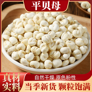 飒枫正品贝母中药材平贝母精选平贝母煲汤泡水可打粉散装批发