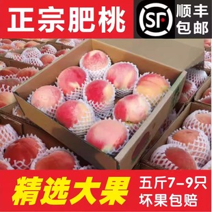 山东特产肥城桃新鲜桃子玉妃脆甜桃精选大果当季新鲜水果顺丰礼盒