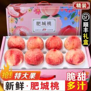 山东特产 正宗肥城桃 脆蜜桃新鲜现摘当季孕妇水果 8只装豪华礼盒