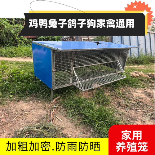 鸡笼子家用室外防雨鸽子笼鸡鸭鹅养殖笼镀锌防黄鼠狼兔笼防雨鸡笼