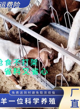 家用养殖喂羊槽子羊颈夹定位羊槽输送带食槽羊料双面加厚定位颈夹