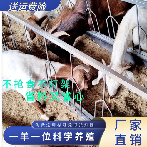 家用养殖喂羊槽子羊颈夹定位羊槽输送带食槽羊料双面加厚定位颈夹
