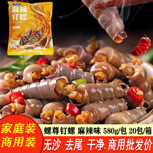 螺尊钉螺鲜活去尾大号锥螺新鲜海螺丝捞汁小海鲜麻辣贝类田螺商用