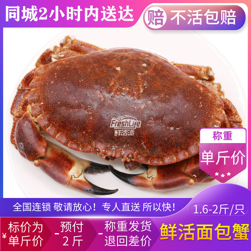 成都店同城闪送 鲜活面包蟹1只/份(大)约1.3-2.5斤可选 黄金蟹