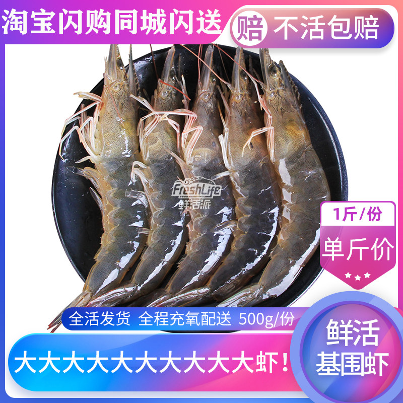 成都店同城闪送 鲜活基围虾大虾1斤/份约20只 全活海虾基围虾明虾