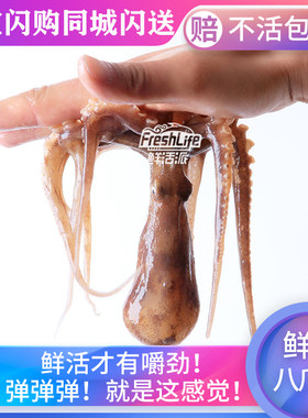 鲜活八爪鱼活章鱼爆头八爪鱼
