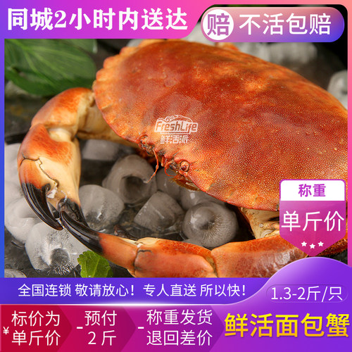 南宁店 鲜活面包蟹1.3-2斤/只单斤价称重算 黄金蟹大螃蟹膏蟹之王