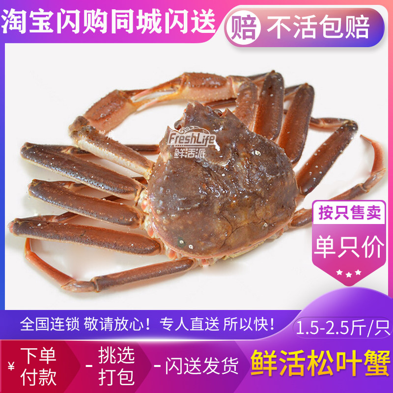 成都店同城闪送 鲜活板蟹松叶蟹1只/份约1.5-2.5可选长脚蟹包活