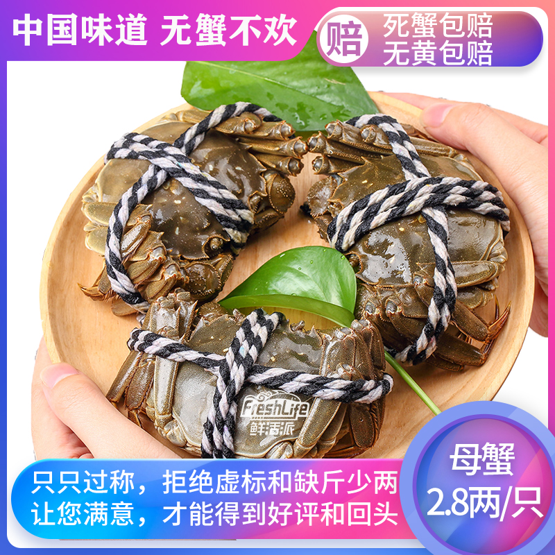 成都大闸蟹鲜活派满黄