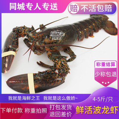 长沙店 鲜活波龙虾4-5斤/只称重结算 波士顿龙虾大龙虾波龙大虾