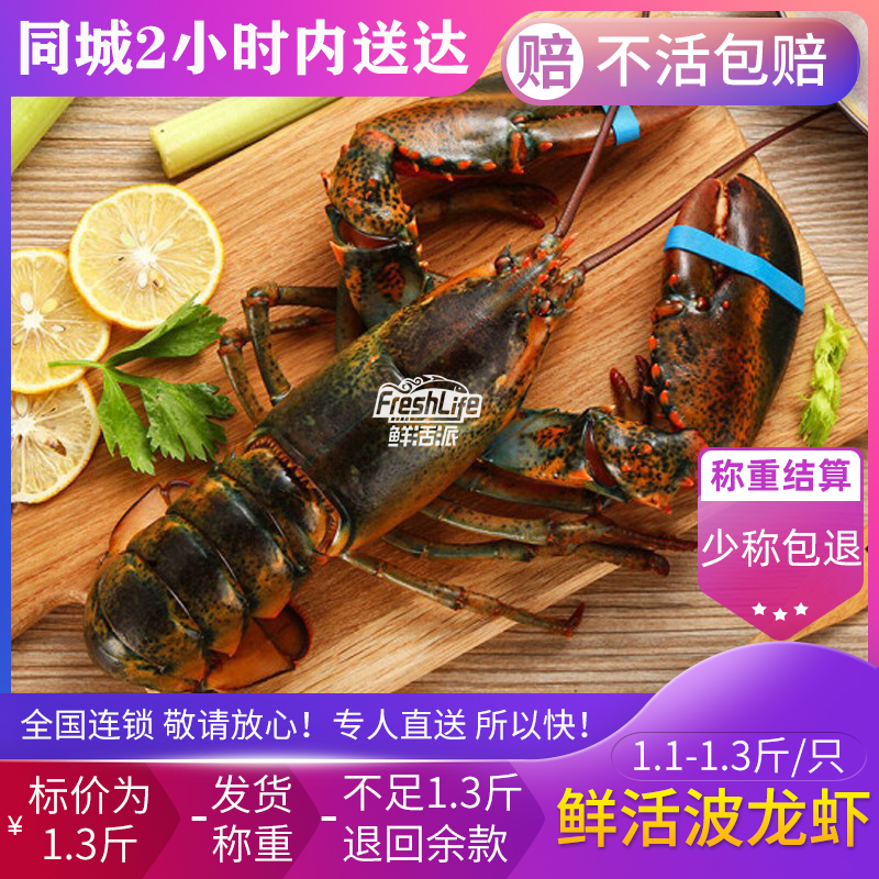 贵阳店鲜活波龙虾1.1-1.3斤/只称重结算波士顿龙虾波龙大龙虾