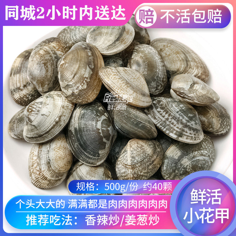 成都店 鲜活无沙大花甲500g/份约40颗鲜活花蚬子杂色蛤花蛤蜊肉满